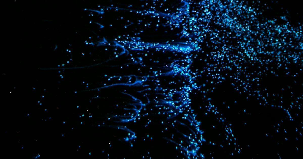 Bioluminiscencia: plancton azul brillando en el agua de noche